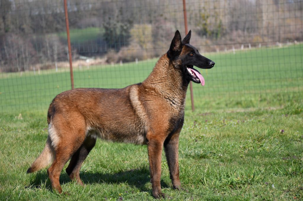 Lookoom du domaine de Louxor